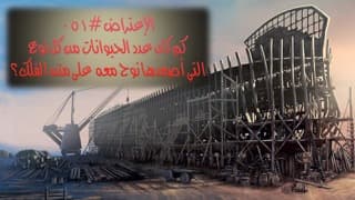 صورة الغلاف لموضوع الإعتراض ٠٥١، كم كان عدد الحيوانات من كل نوع التي أصعَدَها نوح معه  على متن الفلك؟