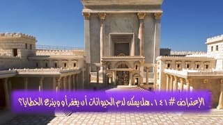 صورة الغلاف لموضوع الإعتراض ١٤١، هل يمكن لدم الحيوانات أن يغفر أو وينزع الخطايا؟