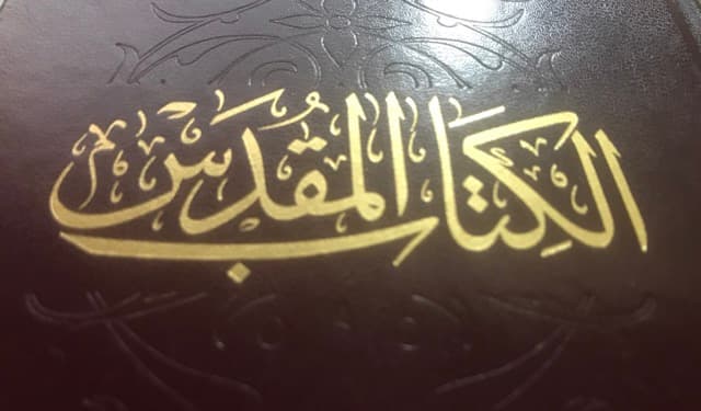 صورة الغلاف لموضوع تناقضات“ الكتاب المقدس”