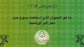 صورة الغلاف لموضوع الإعتراض ١٦٦، ما هو الحيوان الذي استعلمه يسوع حين دخل إلى أورشليم؟